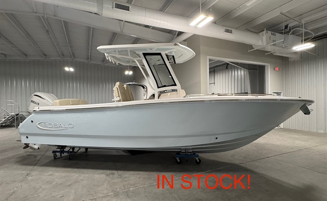 2027 Robalo R252 Explorer Ice Blue 